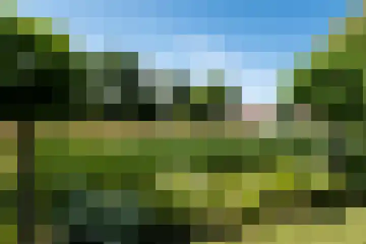 Tsjerkepaed 2 A Wier thumbnail 51