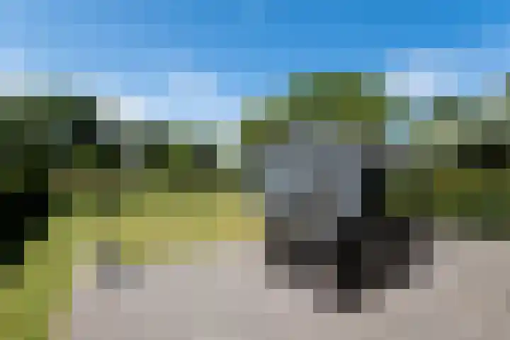 Tsjerkepaed 2 A Wier thumbnail 52