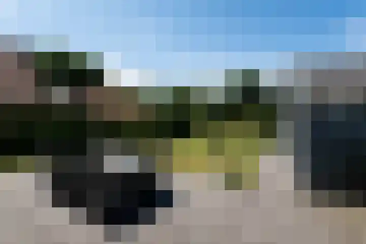 Tsjerkepaed 2 A Wier thumbnail 53