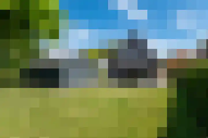 Tsjerkepaed 2 A Wier thumbnail 54