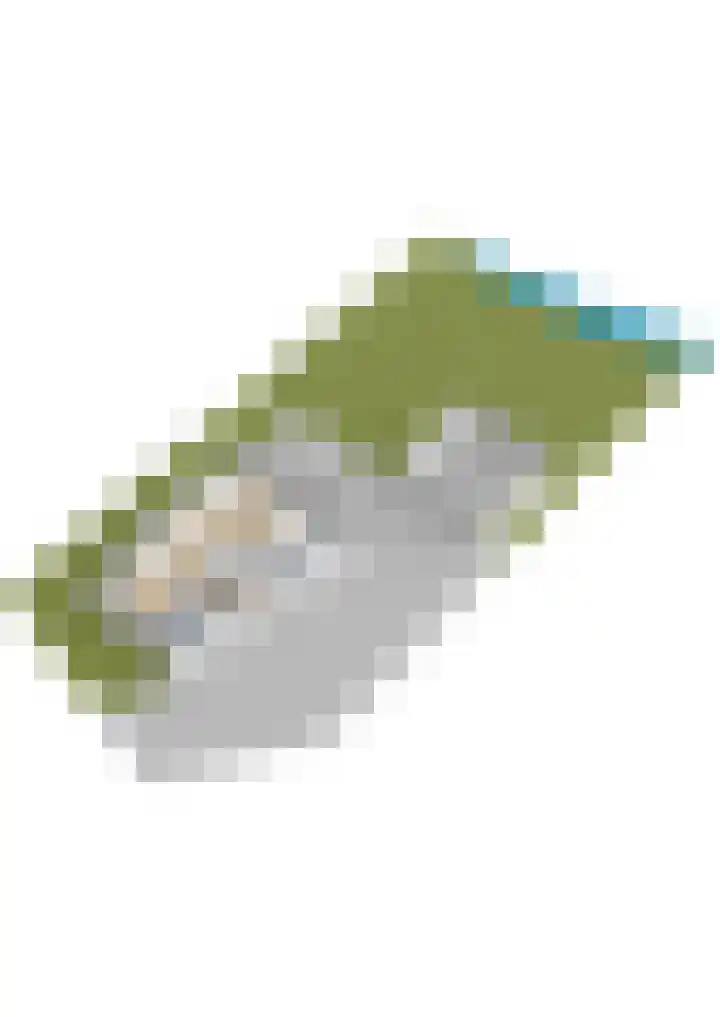 Tsjerkepaed 2 A Wier thumbnail 62