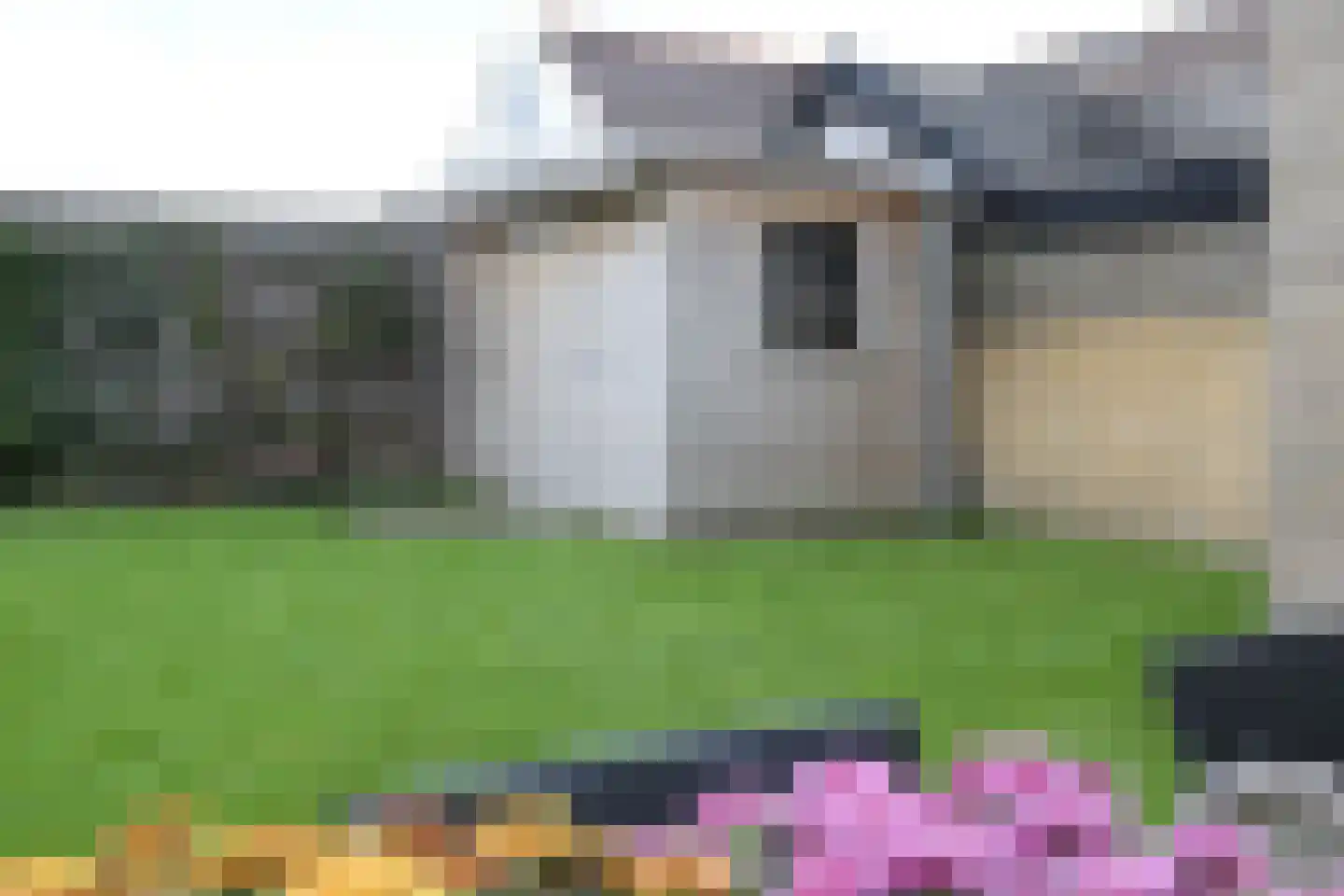 Tsjerkepaed 21 Twijzelerheide thumbnail 20