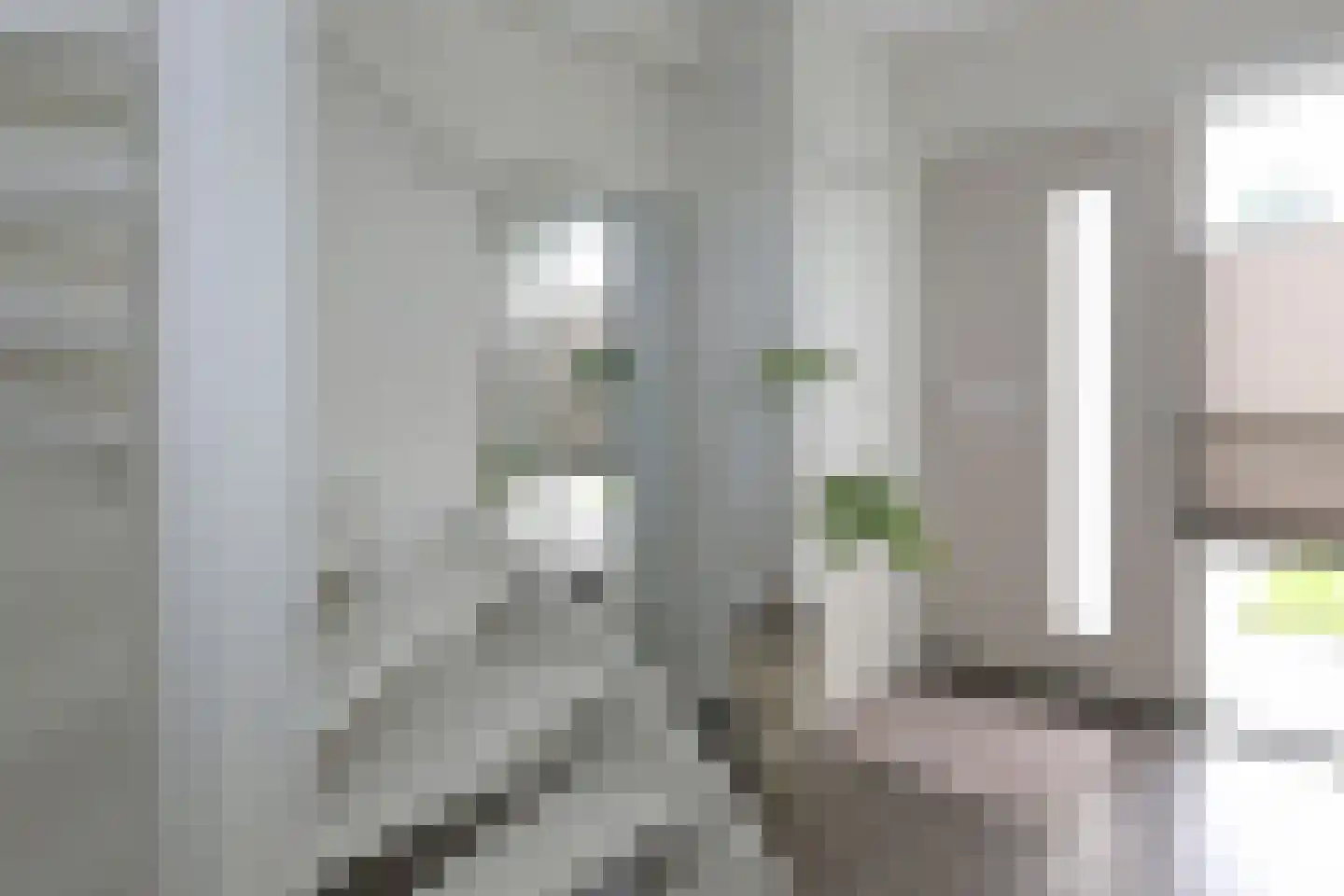 Tsjerkepaed 21 Twijzelerheide thumbnail 35