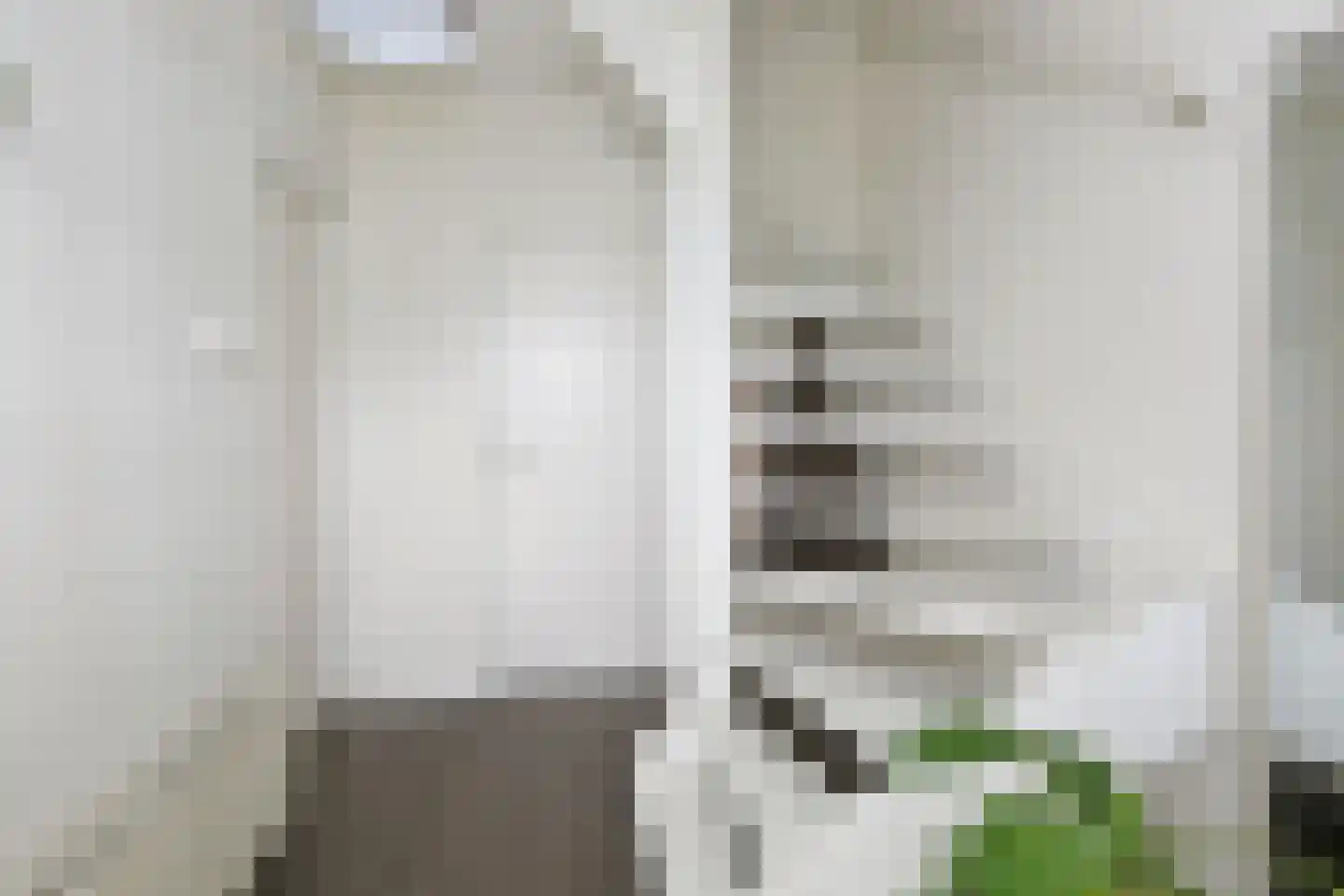 Tsjerkepaed 21 Twijzelerheide thumbnail 36
