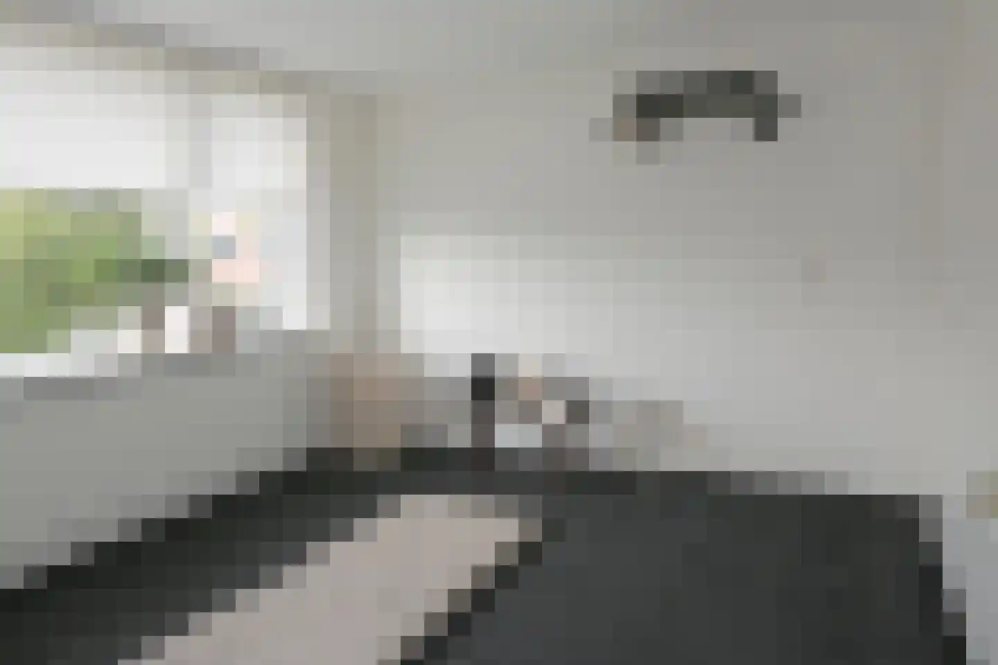 Tsjerkepaed 21 Twijzelerheide thumbnail 39