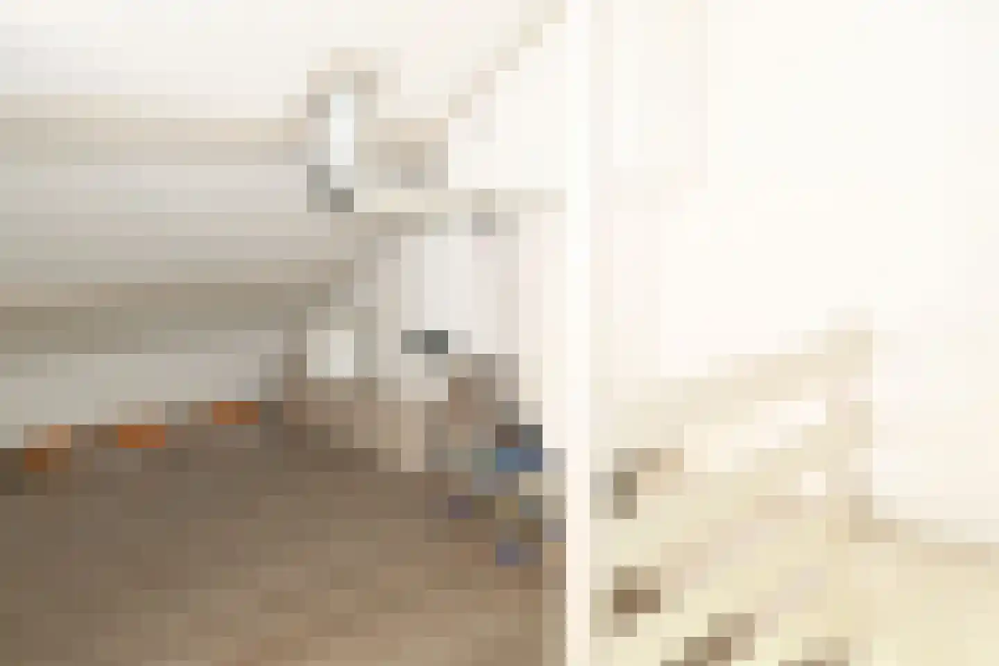 Tsjerkepaed 21 Twijzelerheide thumbnail 48