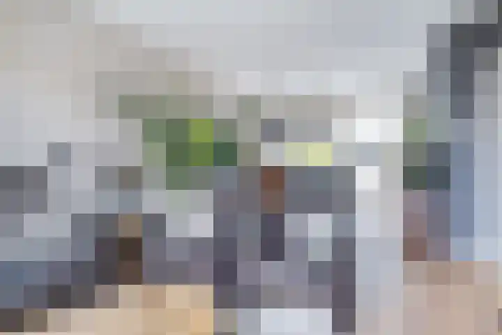 Tsjerkepaed 25 Twijzelerheide thumbnail 10