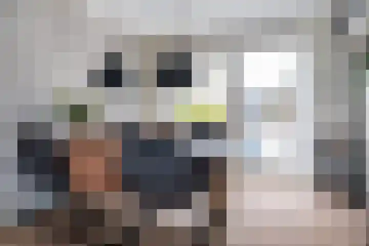 Tsjerkepaed 25 Twijzelerheide thumbnail 11