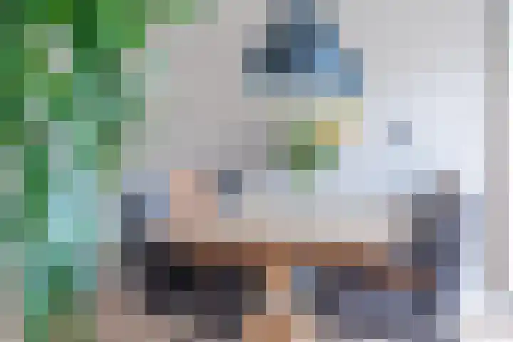 Tsjerkepaed 25 Twijzelerheide thumbnail 15