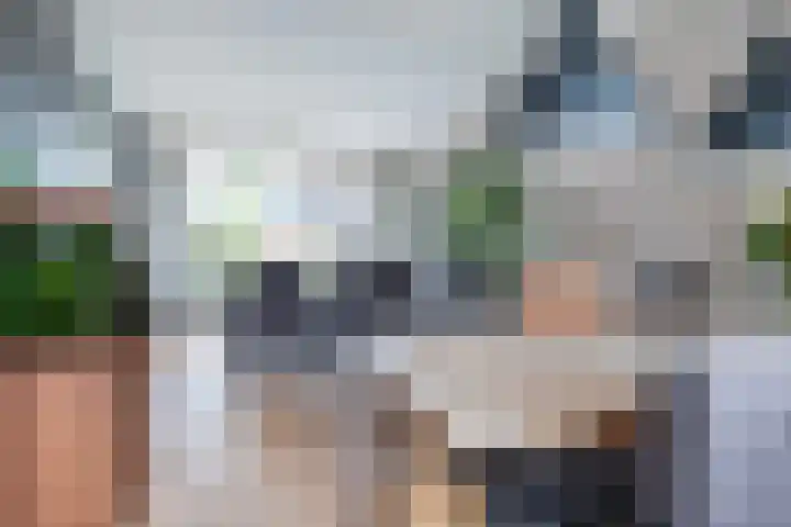 Tsjerkepaed 25 Twijzelerheide thumbnail 16