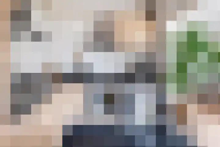 Tsjerkepaed 25 Twijzelerheide thumbnail 18