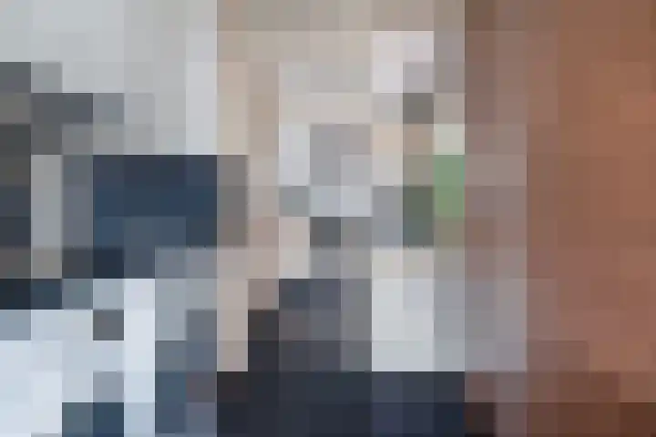 Tsjerkepaed 25 Twijzelerheide thumbnail 21