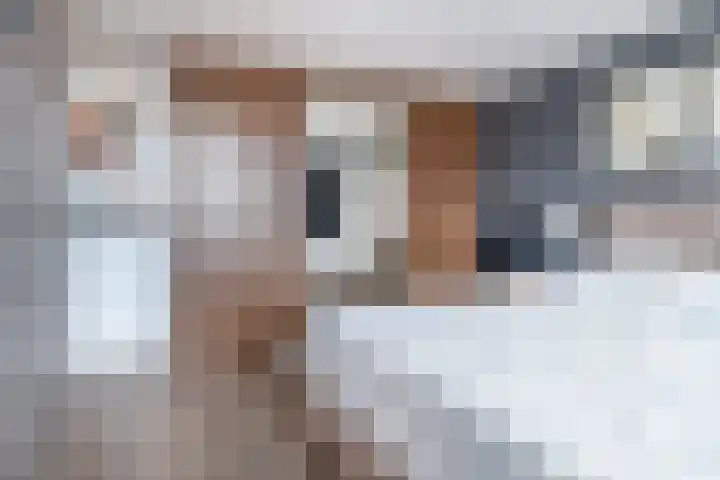 Tsjerkepaed 25 Twijzelerheide thumbnail 26