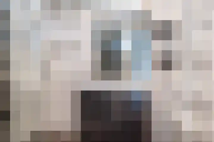 Tsjerkepaed 25 Twijzelerheide thumbnail 31