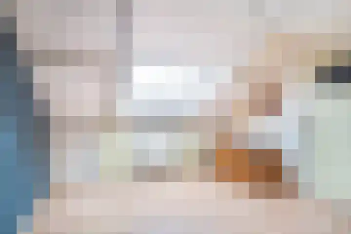 Tsjerkepaed 25 Twijzelerheide thumbnail 33