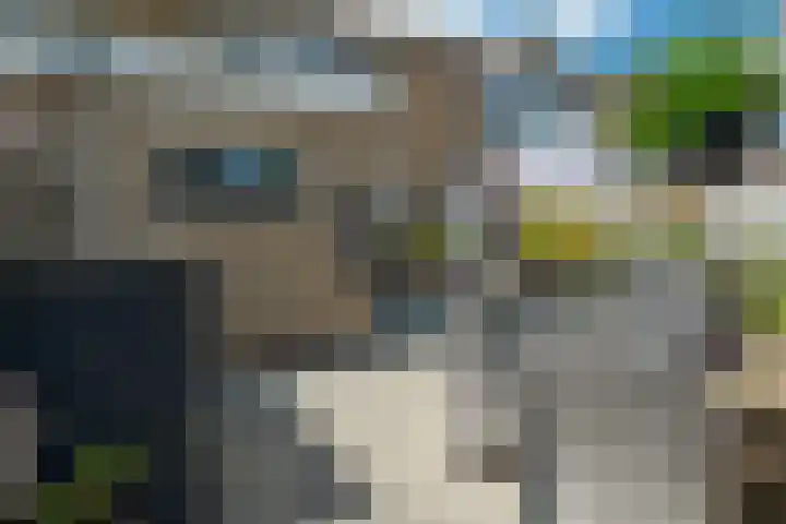 Tsjerkepaed 25 Twijzelerheide thumbnail 38