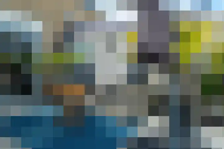 Tsjerkepaed 25 Twijzelerheide thumbnail 39