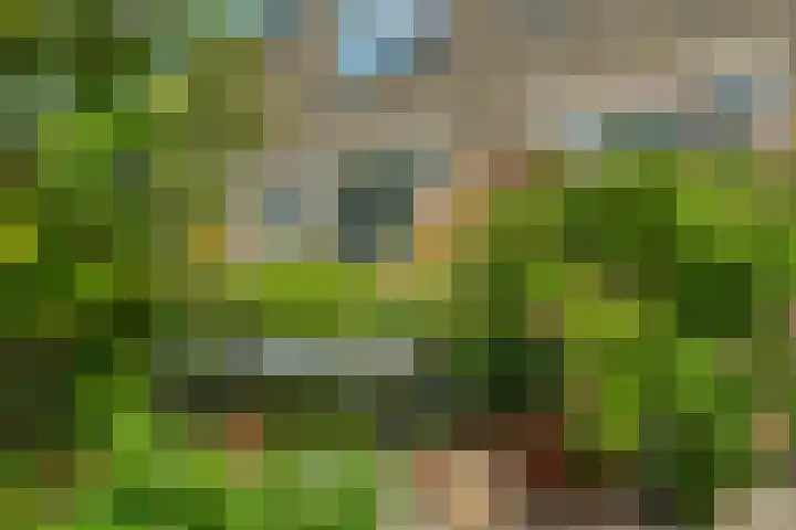 Tsjerkepaed 25 Twijzelerheide thumbnail 40