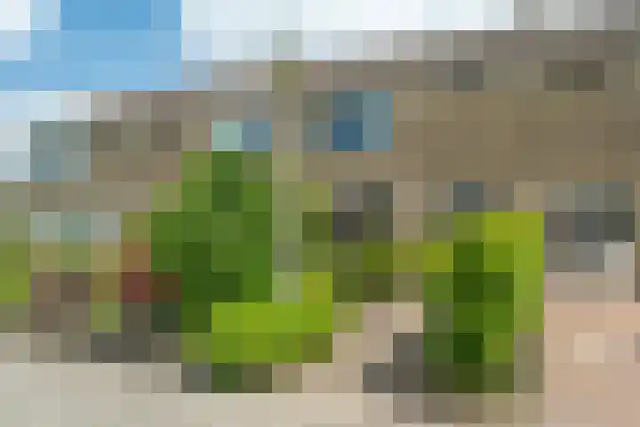 Tsjerkepaed 25 Twijzelerheide thumbnail 41