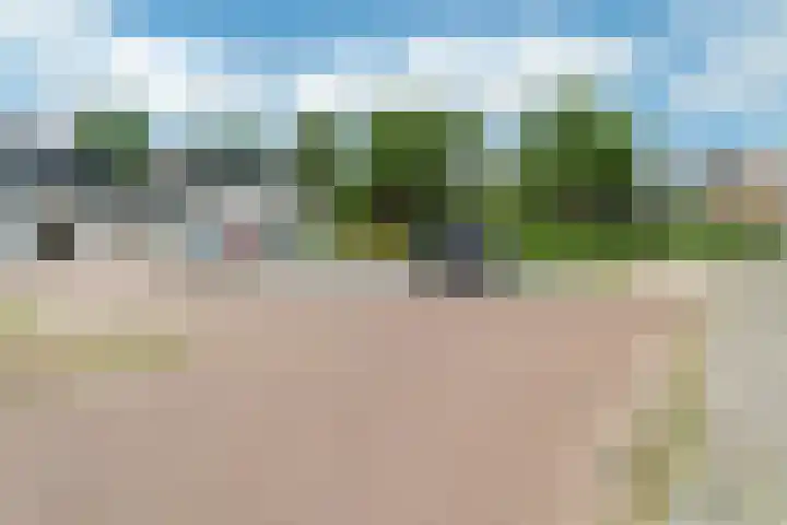 Tsjerkepaed 25 Twijzelerheide thumbnail 5
