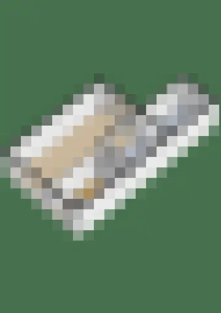 Tsjerkepaed 25 Twijzelerheide thumbnail 50