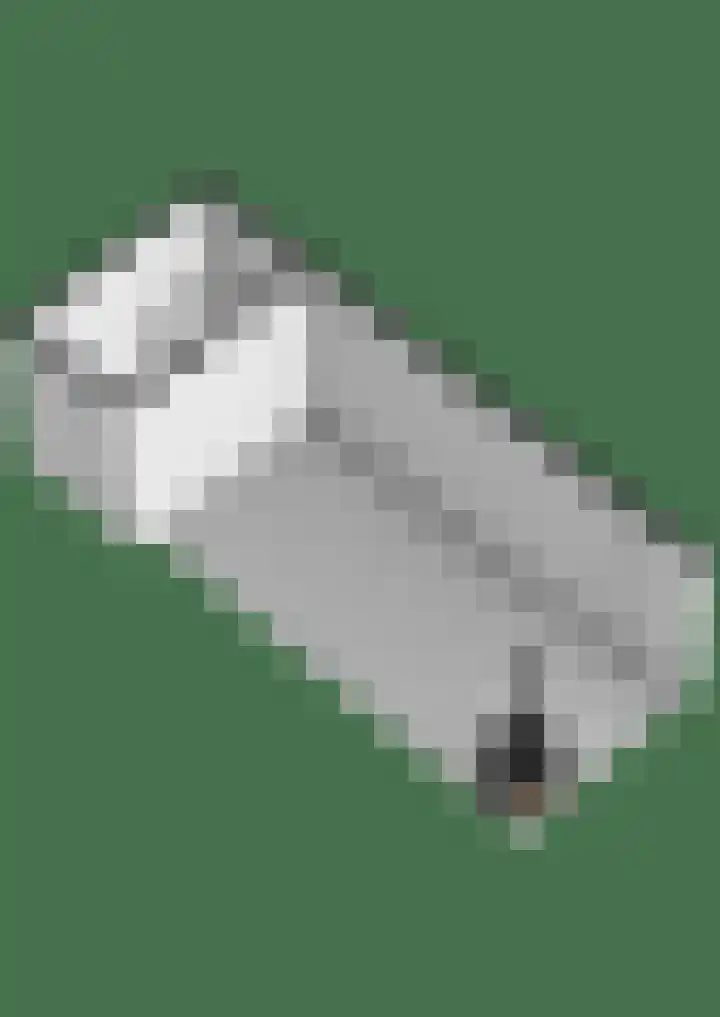 Tsjerkepaed 25 Twijzelerheide thumbnail 53