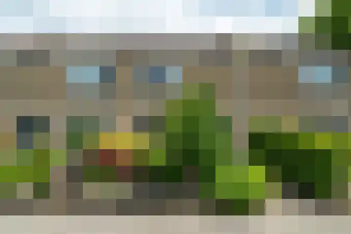 Tsjerkepaed 25 Twijzelerheide thumbnail 6