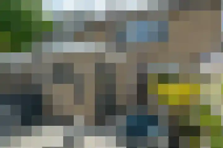 Tsjerkepaed 25 Twijzelerheide thumbnail 7