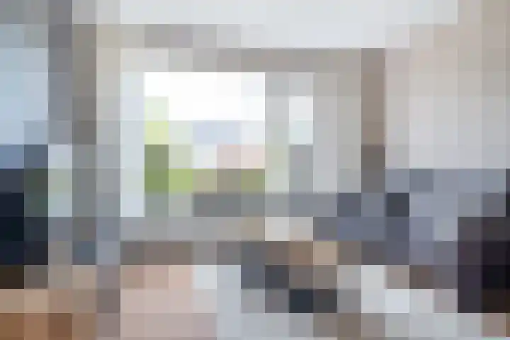 Tsjerkepaed 25 Twijzelerheide thumbnail 8