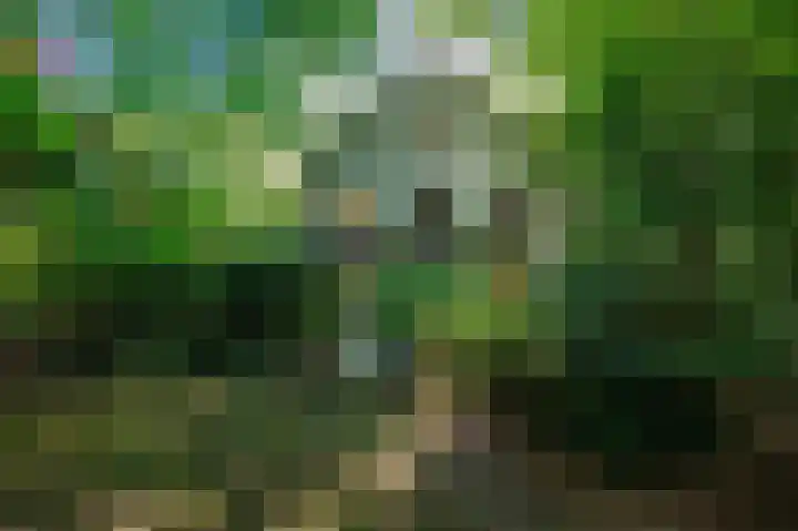 Tsjerkepaed 26 in Wier