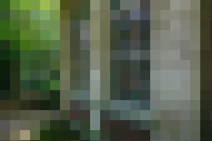 Tsjerkepaed 26 Wier thumbnail 4