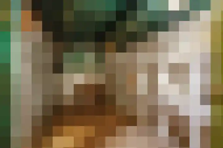 Tsjerkepaed 26 Wier thumbnail 49