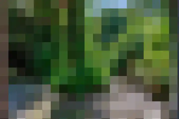 Tsjerkepaed 26 Wier thumbnail 51