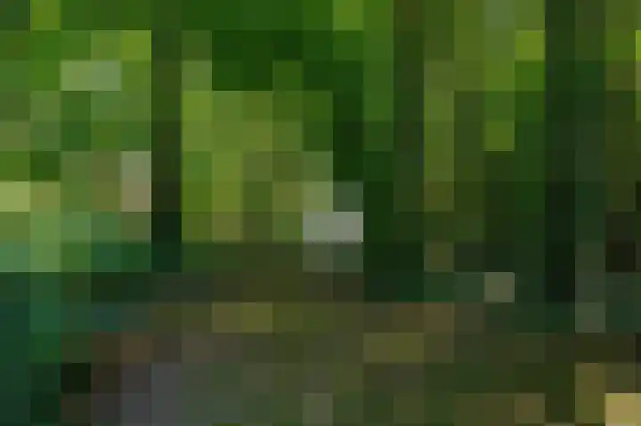 Tsjerkepaed 26 Wier thumbnail 54