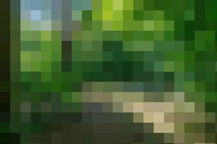 Tsjerkepaed 26 Wier thumbnail 55