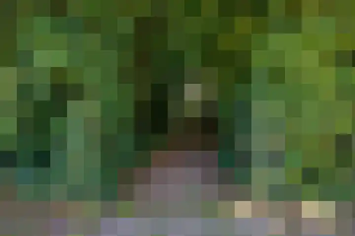 Tsjerkepaed 26 Wier thumbnail 58
