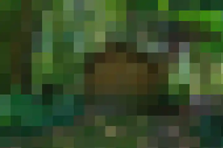 Tsjerkepaed 26 Wier thumbnail 6