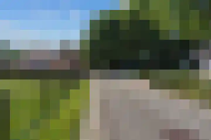 Tsjerkepaed 26 Wier thumbnail 61