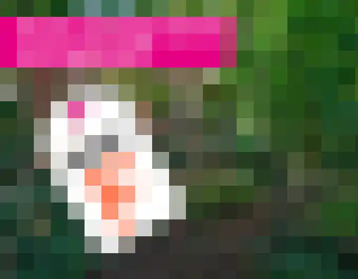 Tsjerkepaed 26 Wier thumbnail 62