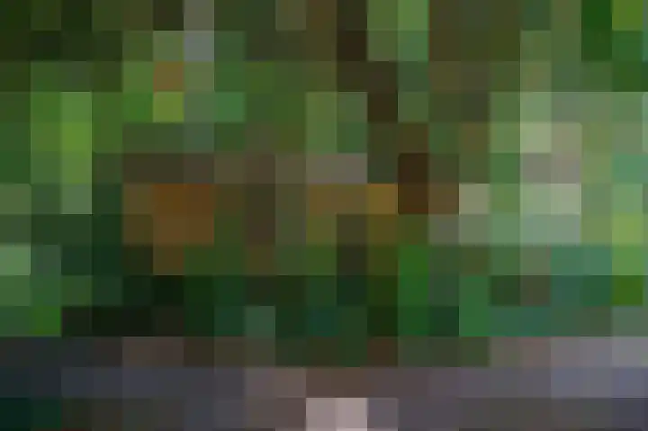 Tsjerkepaed 26 Wier thumbnail 7
