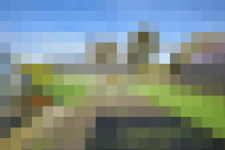 Tsjerkepaed 8 Noardburgum thumbnail 11