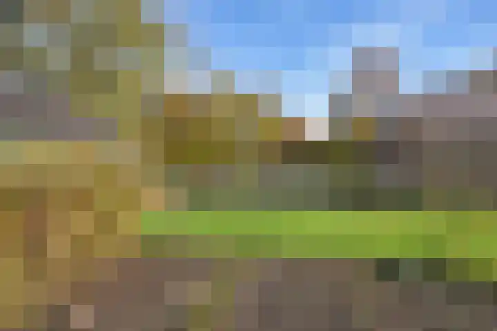 Tsjerkepaed 8 Noardburgum thumbnail 12