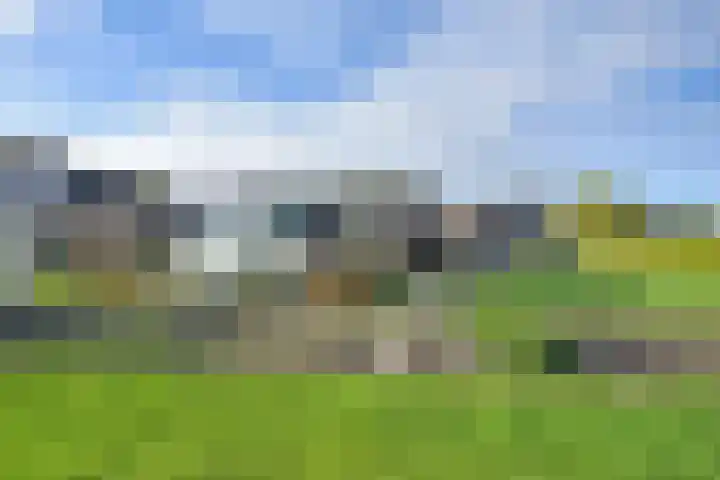 Tsjerkepaed 8 Noardburgum thumbnail 13