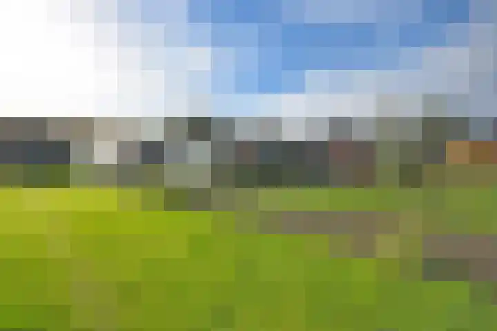 Tsjerkepaed 8 Noardburgum thumbnail 14