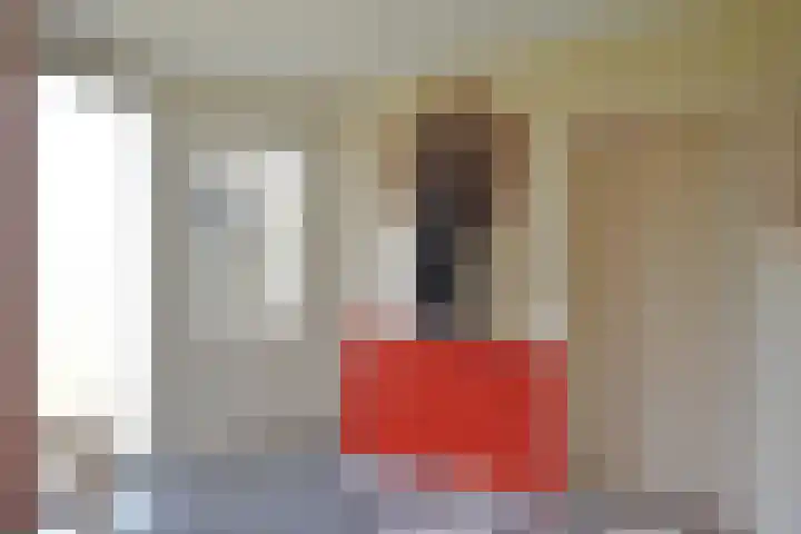 Tsjerkepaed 8 Noardburgum thumbnail 17