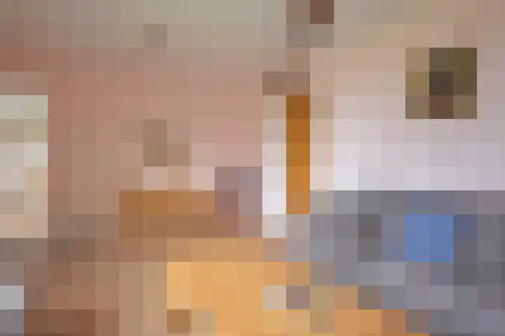 Tsjerkepaed 8 Noardburgum thumbnail 30
