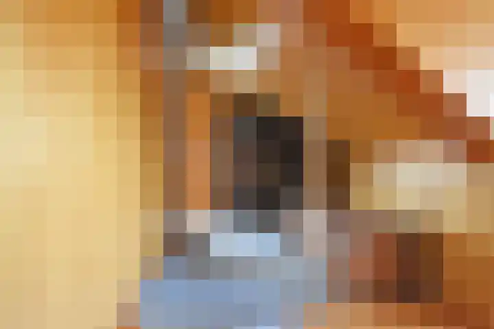 Tsjerkepaed 8 Noardburgum thumbnail 38