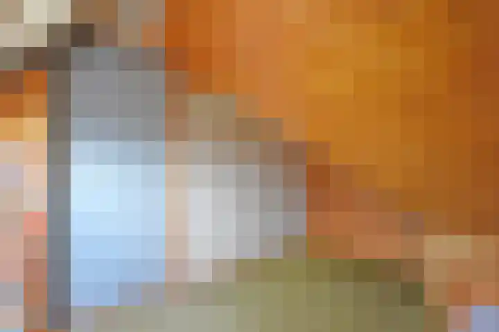 Tsjerkepaed 8 Noardburgum thumbnail 42
