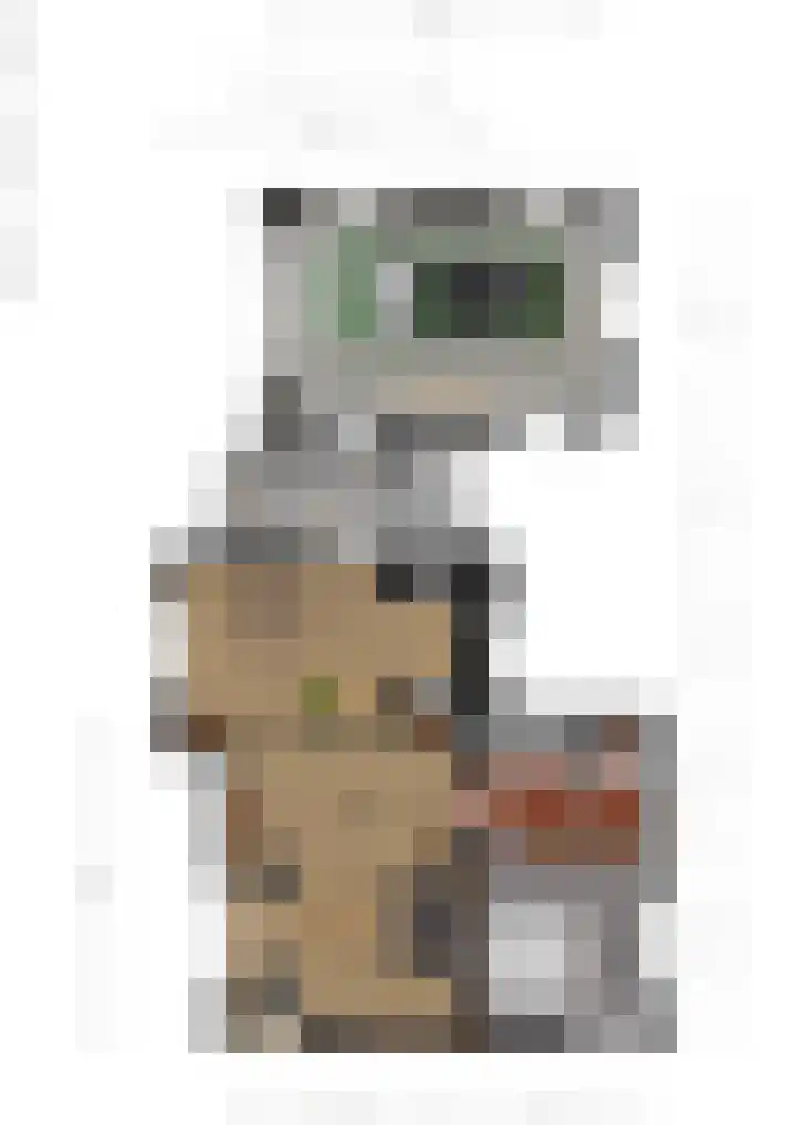Tsjerkepaed 8 Noardburgum thumbnail 50