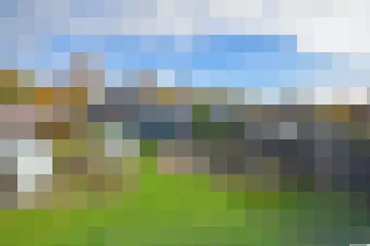 Tsjerkepaed 8 Noardburgum thumbnail 9